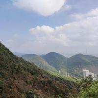 Dong Xin