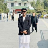 Muhammad Adeel